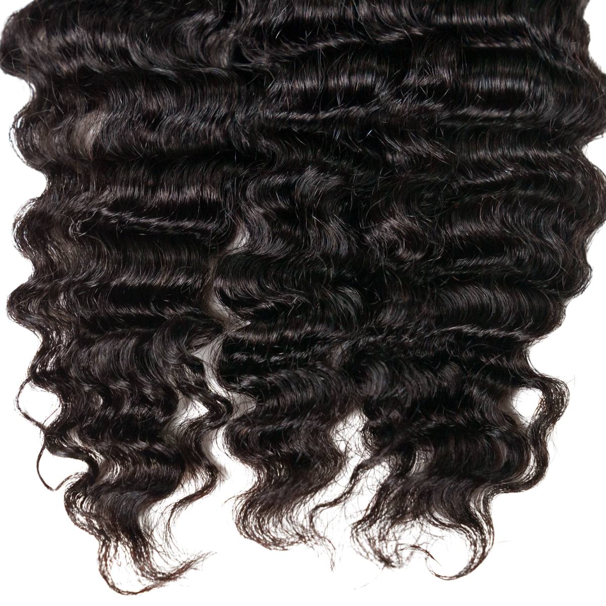 Burmese Curly