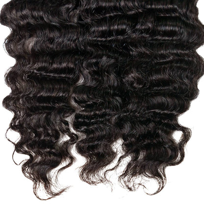 Burmese Curly