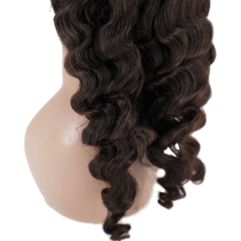 Brazilian Loose Wave Lace Front Wig